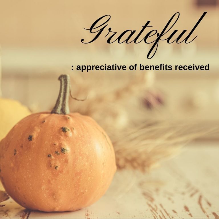 A pumpkin and the word grateful on the cover image of the Thanksgiving 2020 blog of Phebe Phillips