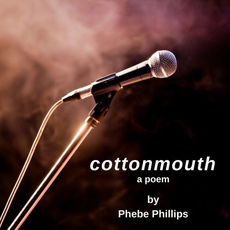 Photo for the blog post about the poem, cottonmouth