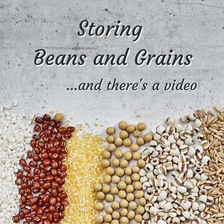 Header for a video about Storing Dry Beans and Grains